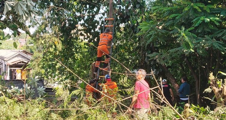 Evakuasi pohon tumbang yang menimpa rumah warga di Batu Tulis Bogor, Foto/Istimewa