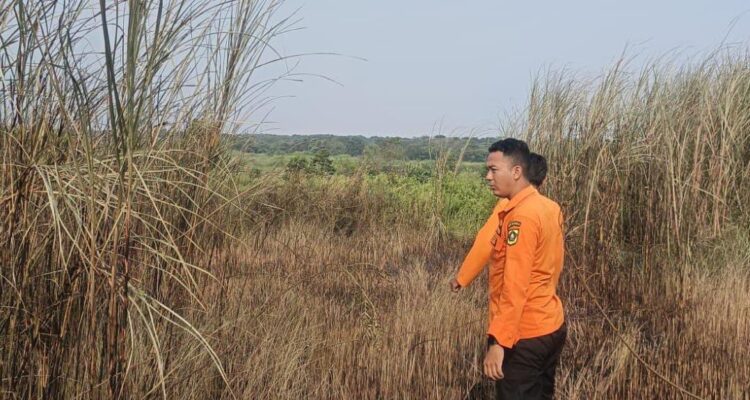 BPBD Kabupaten Bogor saat mengevakuasi kebakaran lahan di Klapanunggal, Foto/BPBD Kabupaten Bogor