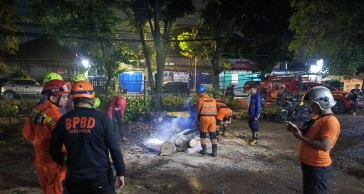 BPBD Kota Bogor saat mengevakuasi Pohon tumbang yang terjadi pada Minggu 27 Juli 2025 malam, Foto/Istimewa