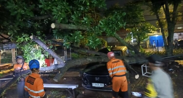 BPBD Kota Bogor saat mengevakuasi pohon tumbang yang menimpa satu buah mobil di paledang Bogor, Foto/Istimewa