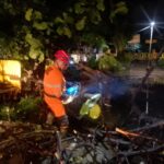 Evakuasi BPBD Kota Bogor terhadap Pohon Ketapang yang tumbang dan timpa rumah, Foto/BPBD Kab