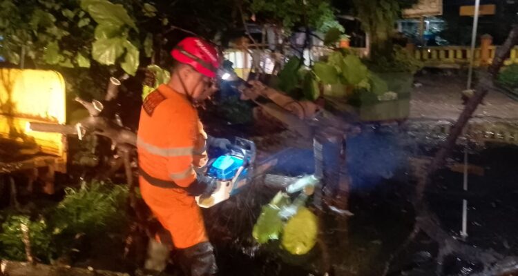 Evakuasi BPBD Kota Bogor terhadap Pohon Ketapang yang tumbang dan timpa rumah, Foto/BPBD Kab