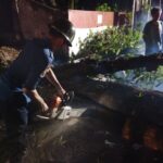 Evakuasi Pohon Tumbang di Ciawi Bogor, Foto/Istimewa