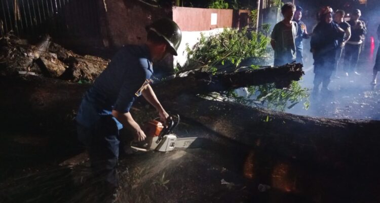 Evakuasi Pohon Tumbang di Ciawi Bogor, Foto/Istimewa