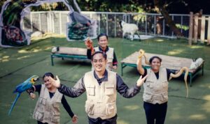 Pesona Alam Resort & Spa menghadirkan program terbaru untuk keluarga bertajuk Animal Explorer Club, Foto/Istimewa