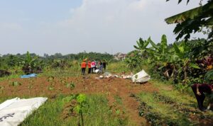 Situasi pesawat jatuh milik TNI jatuh di Ciampea Bogor, Foto/Istimewa