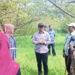Kepala Bapperida Kota Bogor, Rudy Mashudi bersama pimpinan KCD Jawa Barat saat meninjau lokasi lahan yang akan dibuatkan sekolah baru untuk SMA/SMK Negeri, Foto/Istimewa