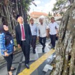 Wali Kota Bogor, Dedie A Rachman saat meninjau pohon tua Legendaris di Balaikota Bogor, Foto/Diskominfo Kota Bogor