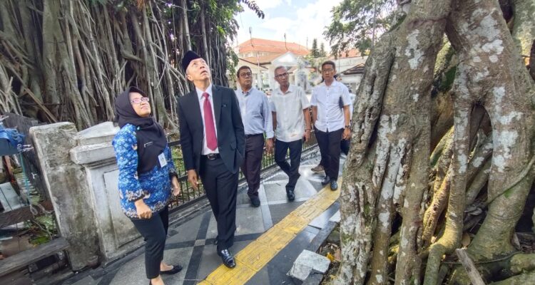 Wali Kota Bogor, Dedie A Rachman saat meninjau pohon tua Legendaris di Balaikota Bogor, Foto/Diskominfo Kota Bogor
