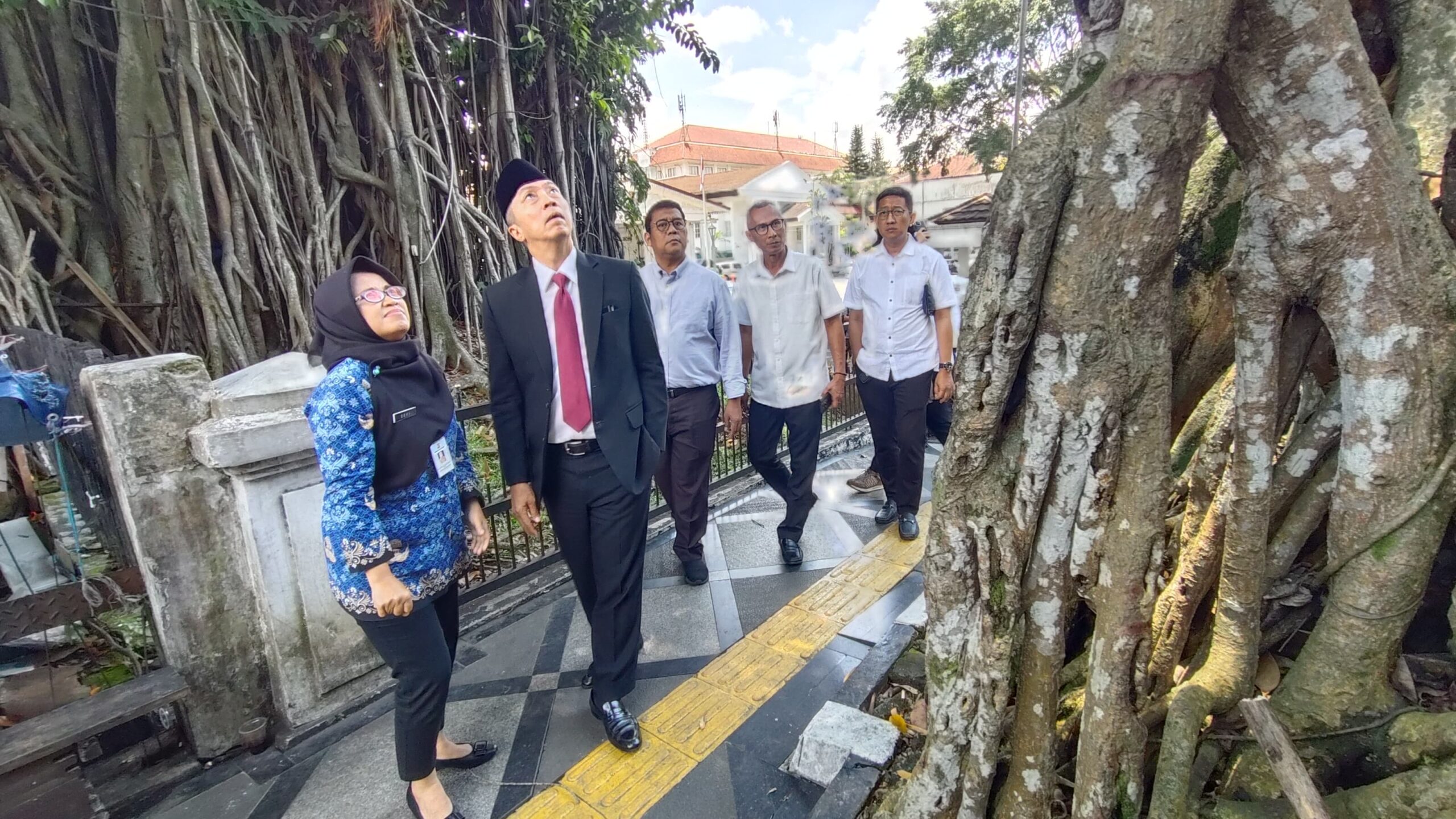 Wali Kota Bogor, Dedie A Rachman saat meninjau pohon tua Legendaris di Balaikota Bogor, Foto/Diskominfo Kota Bogor