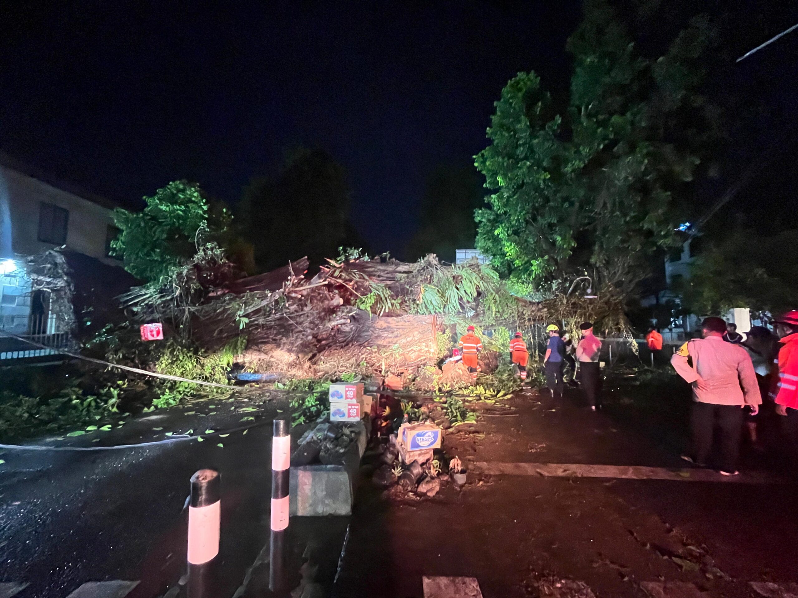 Situasi pohon tumbang di Jalan Kapten Muslihat Kota Bogor depan sekolah budi Mulya dan Gereja Katedral, Foto/Adi Wirman Situasi pohon tumbang di Jalan Kapten Muslihat Kota Bogor depan sekolah budi Mulya dan Gereja Katedral, Foto/Adi Wirman