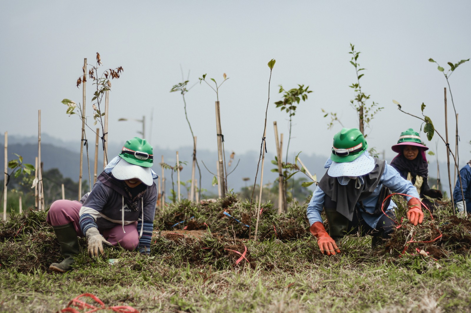 Penanaman pohon di sekitaran Eiger Adventure Land, foto/Istimewa Penanaman pohon di sekitaran Eiger Adventure Land, foto/Istimewa