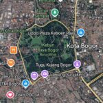 Kebun raya bogor saat ada di Google Maps, Foto/Screenshot