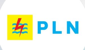 Gambar ilustrasi PLN, Foto/Istimewa