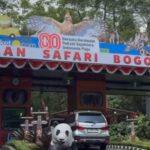 Gerbang pintu utama Taman Safari Bogor, Foto/Istimewa