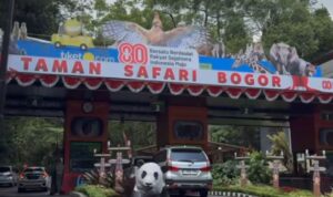 Gerbang pintu utama Taman Safari Bogor, Foto/Istimewa Gerbang pintu utama Taman Safari Bogor, Foto/Istimewa