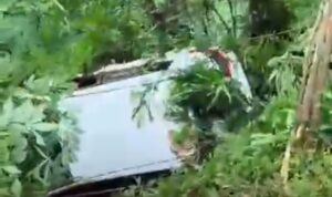 kondisi mobil terjun ke jurang di Megamendung Puncak Bogor, Foto, Istimewa