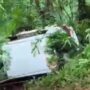 kondisi mobil terjun ke jurang di Megamendung Puncak Bogor, Foto, Istimewa