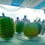 Salah satu durian di Kabupaten Bogor, Foto/Istimewa