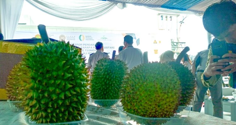 Salah satu durian di Kabupaten Bogor, Foto/Istimewa