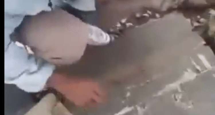 Pendaki temukan diduga serpihan pesawat Indoneisa Air Transport yang hilang kontak, Foto/Tangkapann layar Instagram Makkasar Info