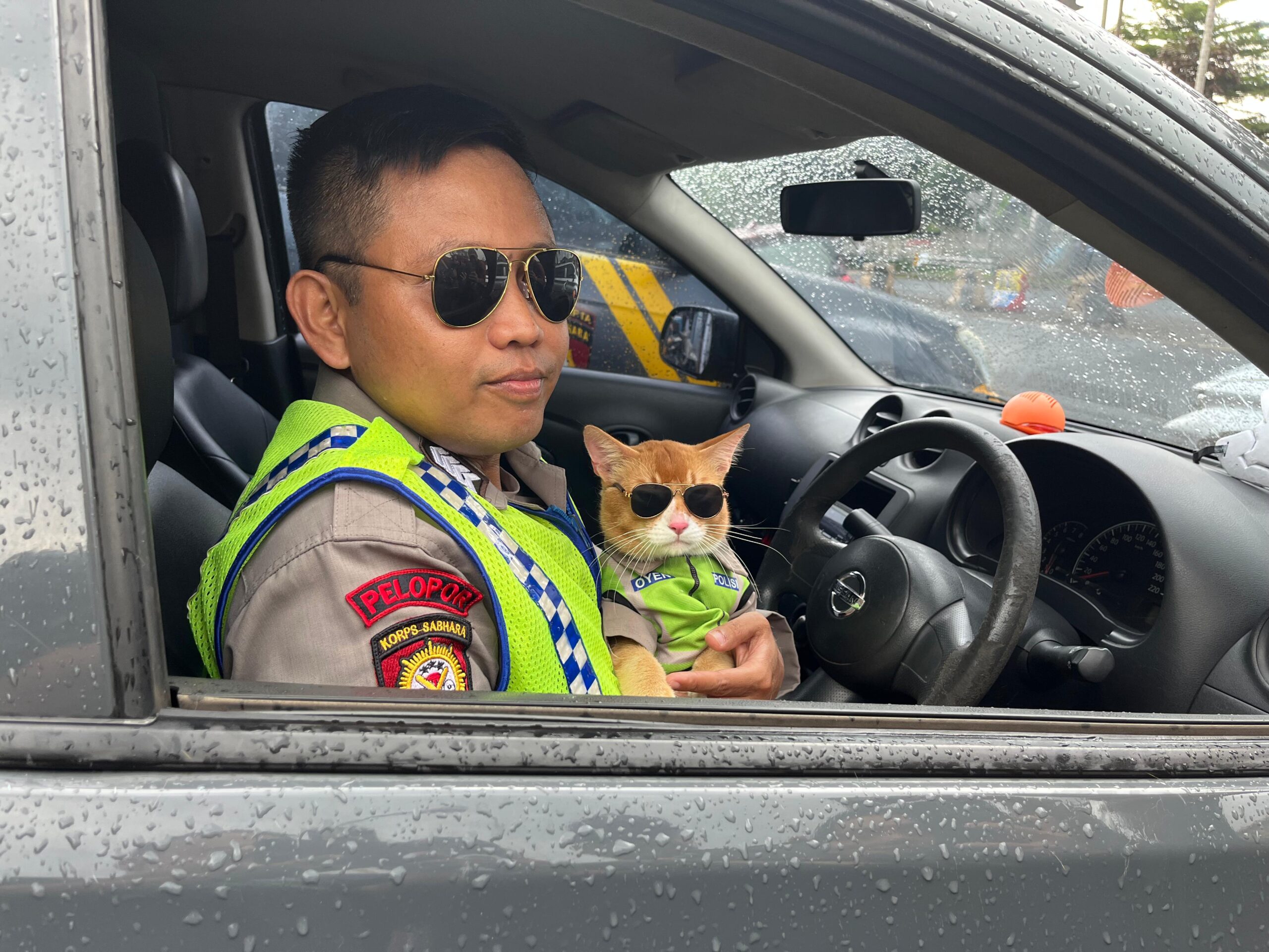 Kucing orange bernama "Oyen" menjadi Perhatian wisatawan yang melintas ke kawasan Puncak Bogor, Foto/Adi Wirman Kucing orange bernama "Oyen" menjadi Perhatian wisatawan yang melintas ke kawasan Puncak Bogor, Foto/Adi Wirman