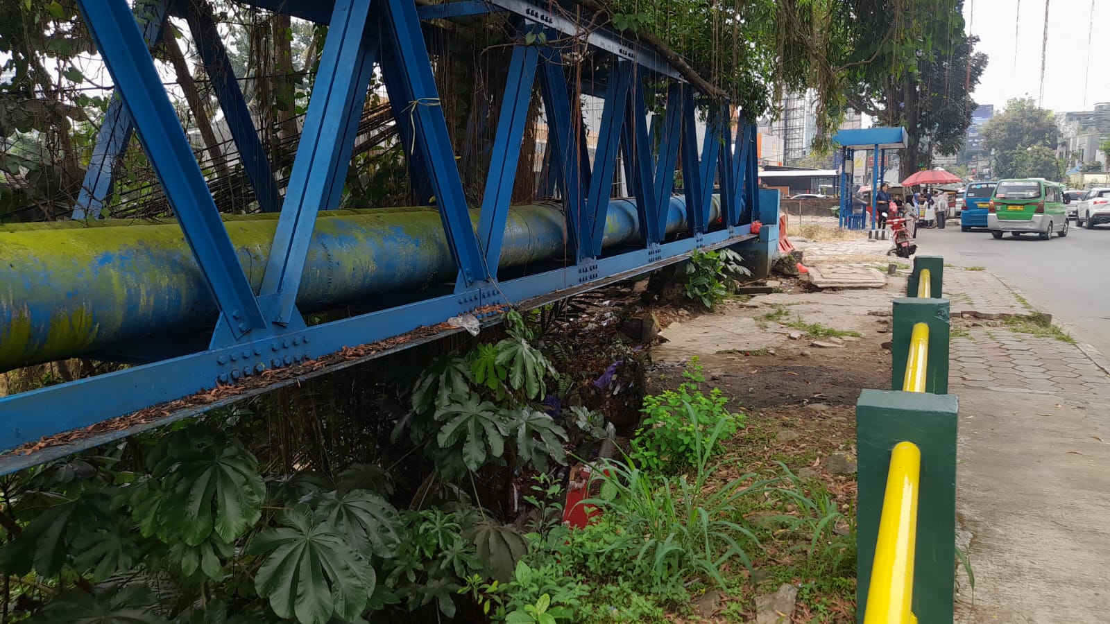 beberapa pohon di dekat situ duit warung jambu Kota Bogor terlihat rindang diduga karena sudah ditebang karena ada sebuaj bangunan yang dekat dengan Sungai Ciliwung, Foto/Adi Wirman