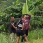 Lokasi Jalur Paniisan yang viral karena adanya Dugaan Pungli, Foto/SS Video