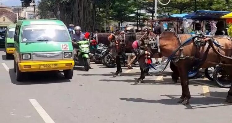 Delman Kota Bogor terlihat parkir di badan jalan Alun-Alun Kota Bogor, Foto/Adi Wirman