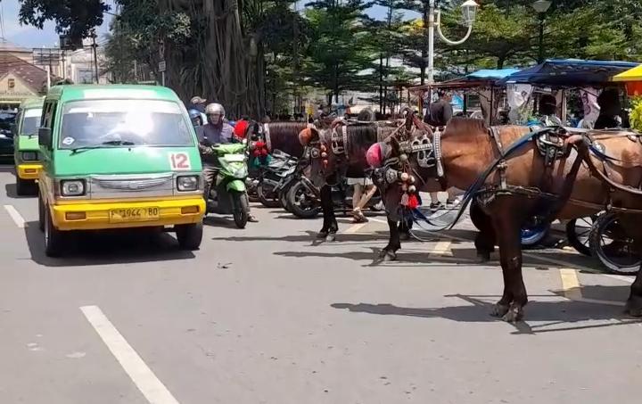 Delman Kota Bogor terlihat parkir di badan jalan Alun-Alun Kota Bogor, Foto/Adi Wirman