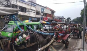 Kondisi delman di Alun-Alun Kota Bogor, Foto/Maya Melina