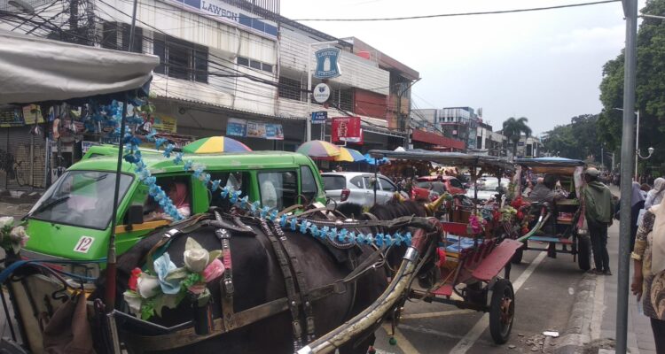 Kondisi delman di Alun-Alun Kota Bogor, Foto/Maya Melina