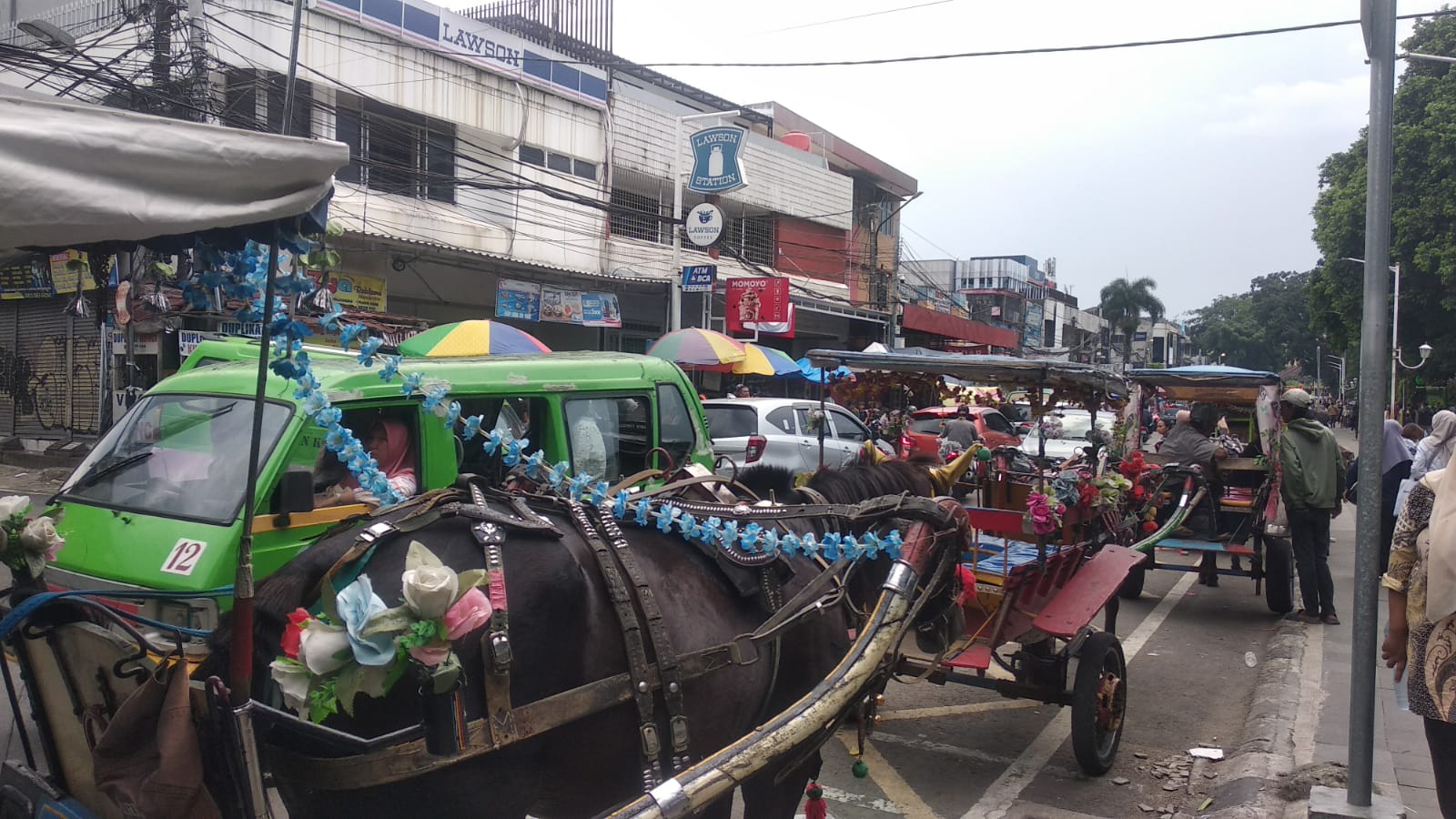Kondisi delman di Alun-Alun Kota Bogor, Foto/Maya Melina