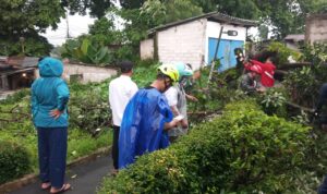 Evakuasi Pohon Tumbang di Jalan Raya Lawanggintung hingga menutupi Jalan, Foto/Maya Melina