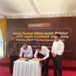 Japfa bersama FapetUGM berkolaborasi mengembangkan model farm ayam petelur umbaran (cage-free) di Yogyakarta, Foto/Istimewa