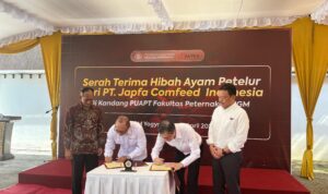 Japfa bersama FapetUGM berkolaborasi mengembangkan model farm ayam petelur umbaran (cage-free) di Yogyakarta, Foto/Istimewa