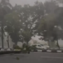 Kondisi Pohon Tumbang di Cibining Bogor, Foto/Isitimewa