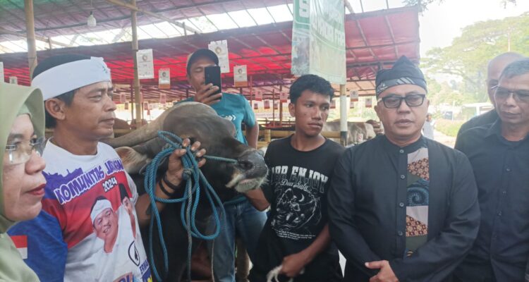 Sekda Kota Bogor saat meninjau lokasi lapak hewan qurban di Bubulak, Foto/Maya Melina