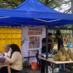 Sejumlah pengunjung tengah menikmati durian di Festival Durian Boor, Foto/Adi Wirman