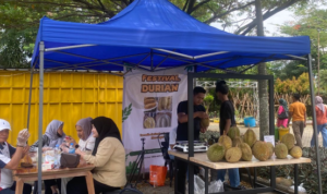 Sejumlah pengunjung tengah menikmati durian di Festival Durian Boor, Foto/Adi Wirman