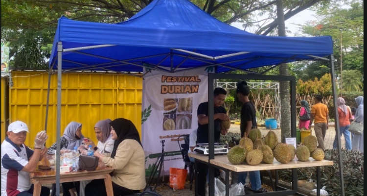 Sejumlah pengunjung tengah menikmati durian di Festival Durian Boor, Foto/Adi Wirman