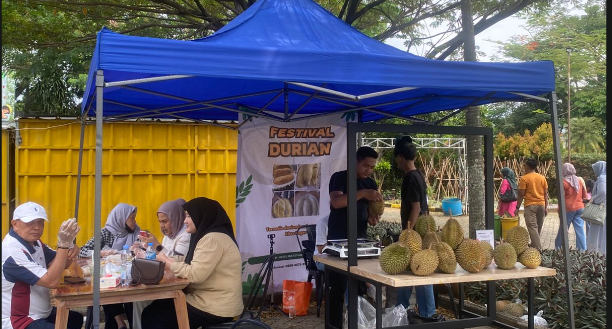 Sejumlah pengunjung tengah menikmati durian di Festival Durian Boor, Foto/Adi Wirman