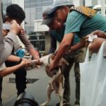Polisi telah mengamankan pemilik anjing yang diduga bertanggung jawab atas insiden tersebut., Foto/Istimewa