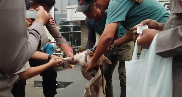 Polisi telah mengamankan pemilik anjing yang diduga bertanggung jawab atas insiden tersebut., Foto/Istimewa