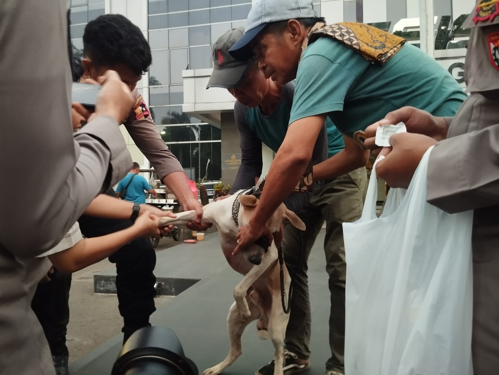 Polisi telah mengamankan pemilik anjing yang diduga bertanggung jawab atas insiden tersebut., Foto/Istimewa