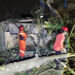 BPBD Kota Bogor saat mengevakuasi pohon tumbang, Foto/Isitimewa