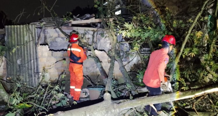 BPBD Kota Bogor saat mengevakuasi pohon tumbang, Foto/Isitimewa