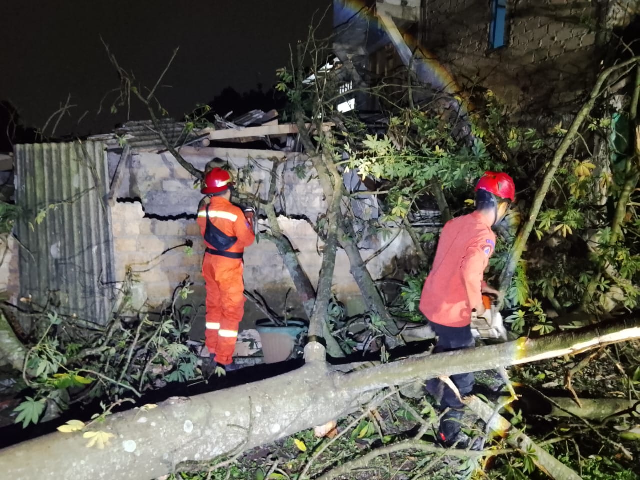 BPBD Kota Bogor saat mengevakuasi pohon tumbang, Foto/Isitimewa