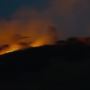 kebakaran lahan di kawasan Tanah Gunung Wangun, Kelurahan Pamoyanan, Kota Bogor,, Foto/Isitimewa