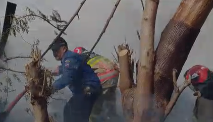 situasi kebakaran rongsokan di BAranangsiang Bogor, Foto/Isitmewa
